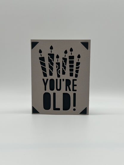 You Are Old – Funny Birthday Card with Insert Options