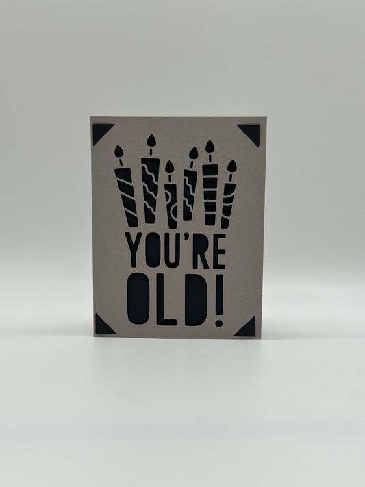You Are Old – Funny Birthday Card with Insert Options